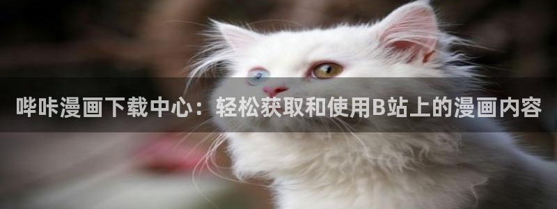 哔咔哔咔漫画官网