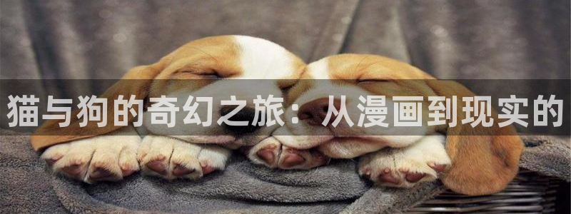 哔咔动漫永久破解版